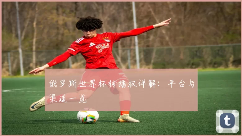 俄罗斯世界杯转播权详解：平台与渠道一览