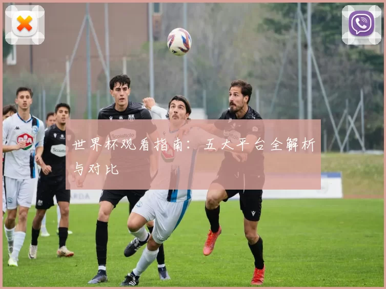 世界杯观看指南:五大平台全解析与对比