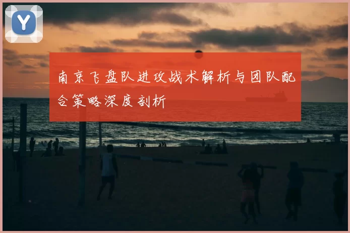 南京飞盘队进攻战术解析与团队配合策略深度剖析