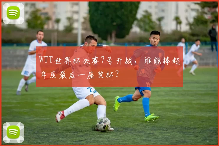 WTT世界杯决赛7号开战,谁能捧起年度最后一座奖杯?