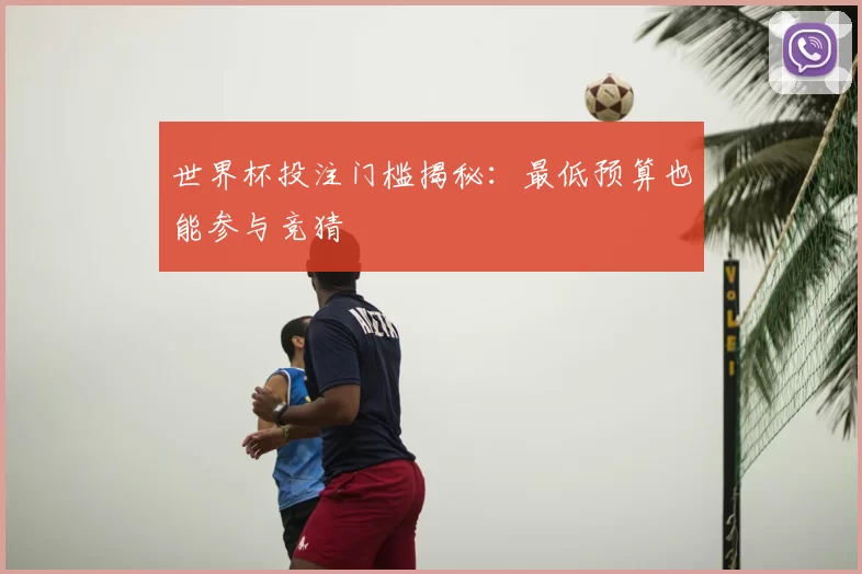 世界杯投注门槛揭秘:最低预算也能参与竞猜