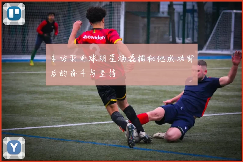 专访羽毛球明星杨磊揭秘他成功背后的奋斗与坚持