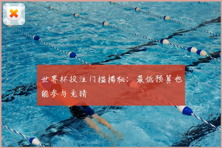 世界杯投注门槛揭秘:最低预算也能参与竞猜