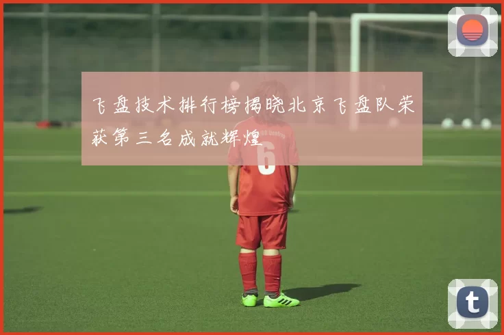 飞盘技术排行榜揭晓北京飞盘队荣获第三名成就辉煌