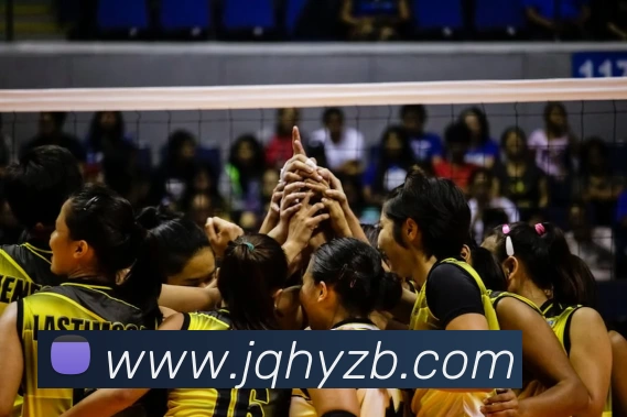 信誉好的平台服务体系